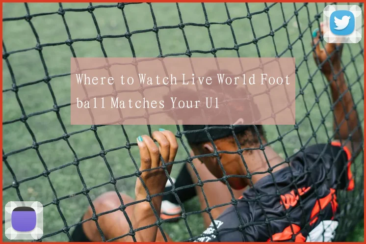 Where to Watch Live World Football Matches Your Ul