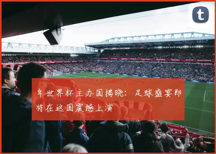 年世界杯主办国揭晓：足球盛宴即将在这国震撼上演